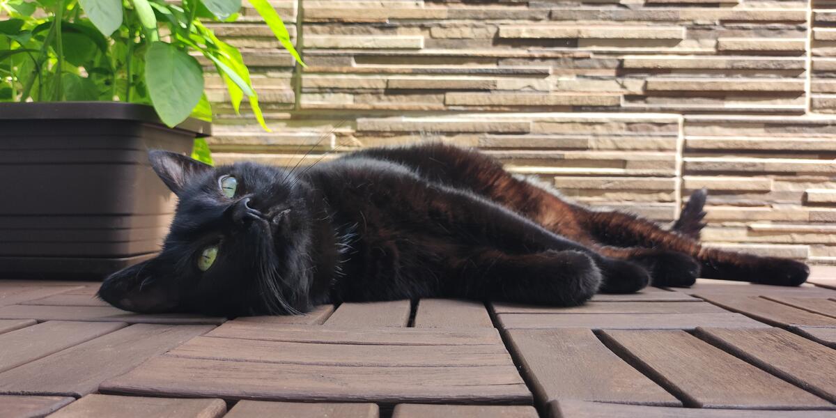 Miniatura zdjęcia news