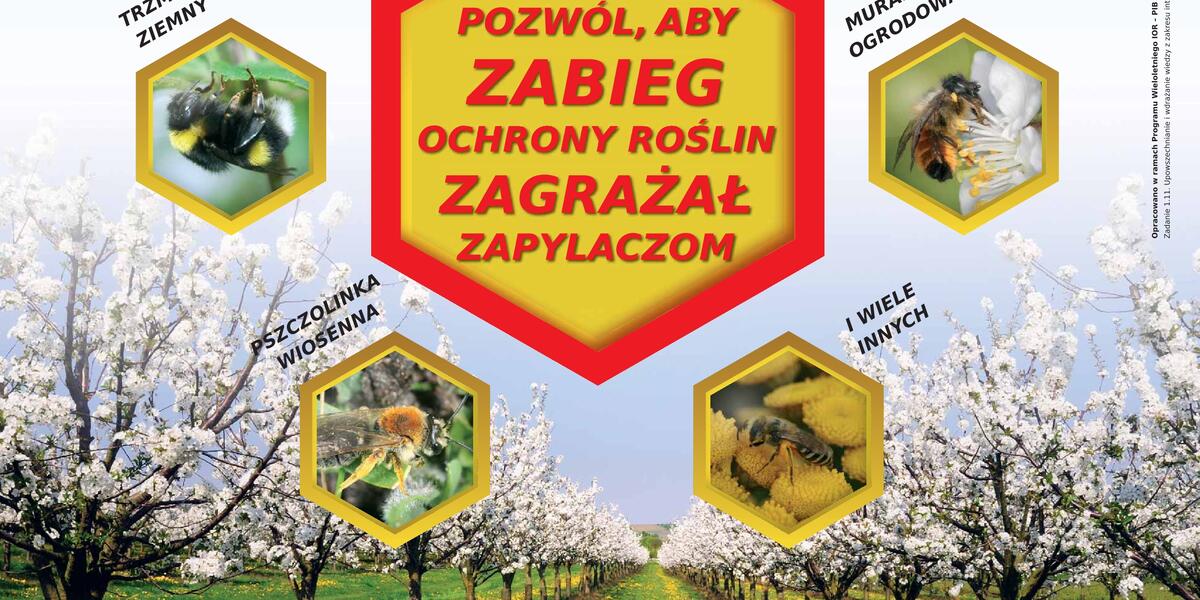 Miniatura zdjęcia news