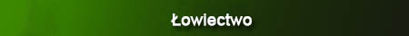 lowiecctwo